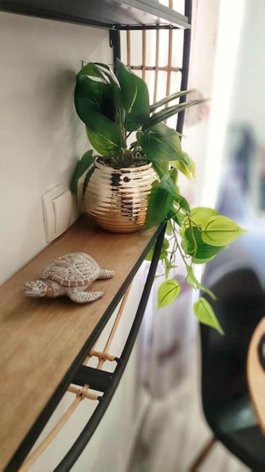 Apartman Lammi Спліт Екстер'єр фото